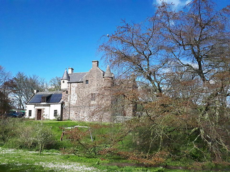 Inverbervie Hallgreen Castle المظهر الخارجي الصورة